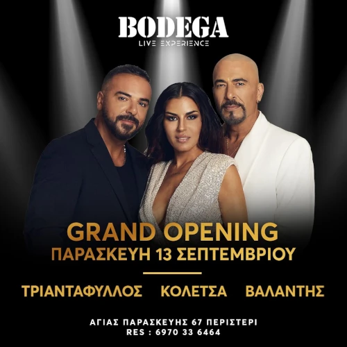 Bodega Live Experience